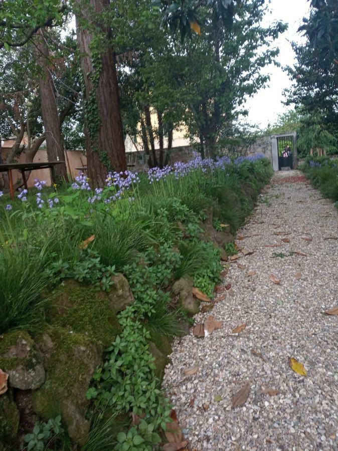 B&B Villa Gualterio Bolsena Buitenkant foto